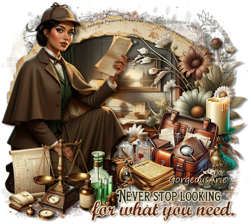 23 GorgeousArie vi.png