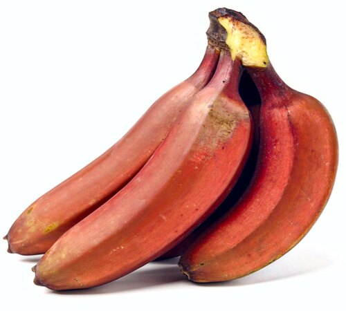 Banana 1 red.jpg