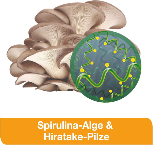 immunloges saft 4.jpg