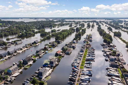 4d416ea8 7abb 4619 aab2 238277e5b81c.jpg