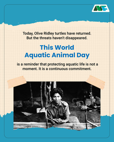 World Aquatic Animal Day4.jpg