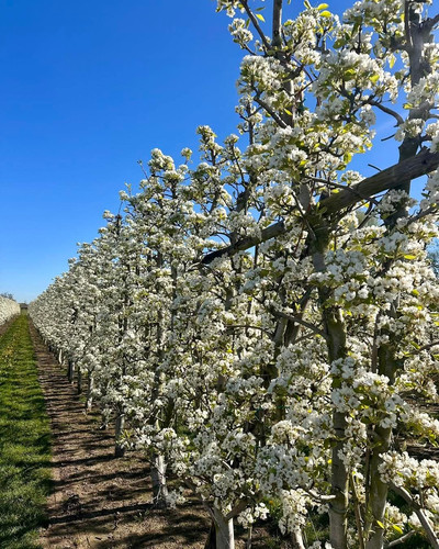 FB IMG 1776119185624.jpg