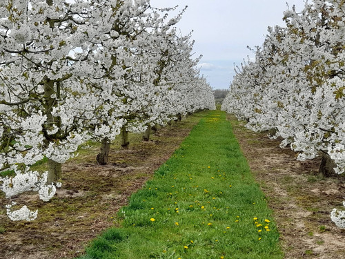 FB IMG 1776119193724.jpg