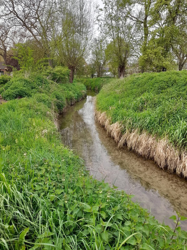 FB IMG 1776119202862.jpg