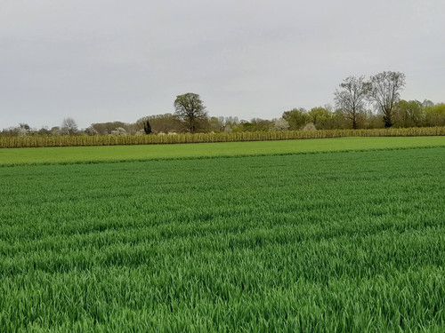 FB IMG 1776119215495.jpg