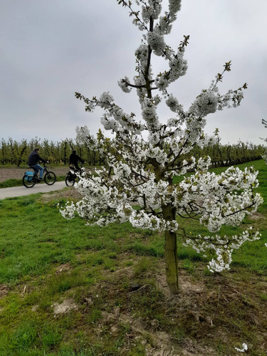 FB IMG 1776119209976.jpg