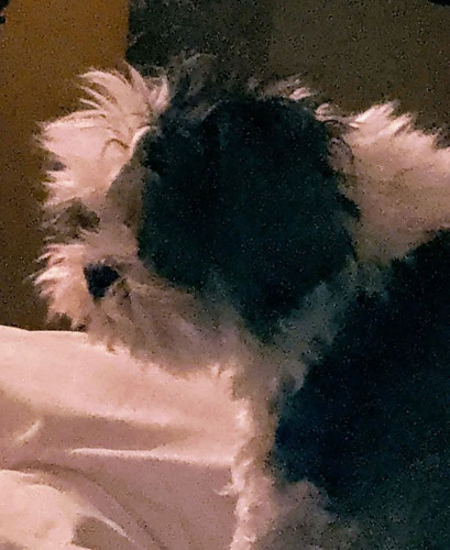 FB IMG 1776119222742.jpg