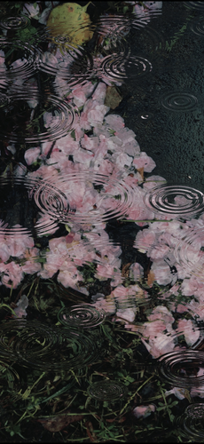 IMG 0325.png