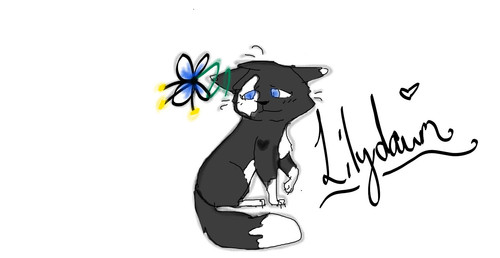 InkedLilydawn B.A.W. LI