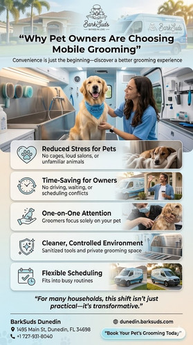 Mobile-Pet-Grooming-in-Dunedin.jpg