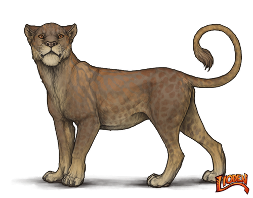 lioden wardrobe (1).png