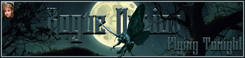 MothMon Banner.jpg