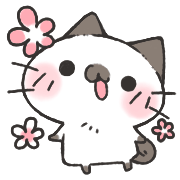 完美球体 (5).png