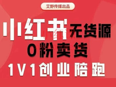 爱野佩佩-2026年小红书电商课(价值4980元)