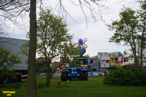 DSC09432 Watermarked.jpg