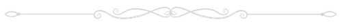 chapter line.png