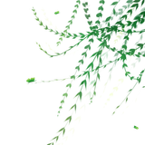 千库网 春季植物枝藤插画 元素编号11918660