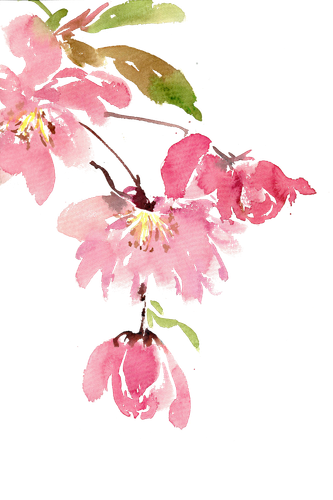 千库网 红色的海棠花 元素编号13051869.png