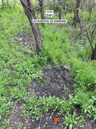 photo.jpg
