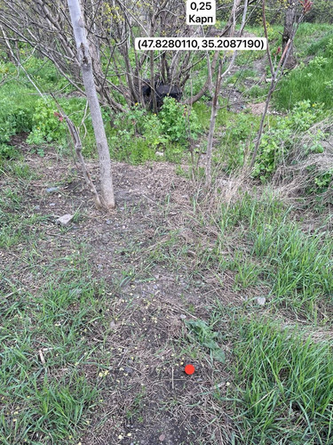 photo.jpg