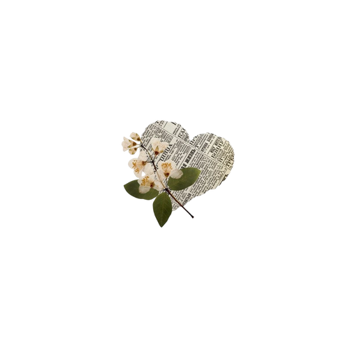 df0c9a278eec3bff7f706ca18495afe7.png