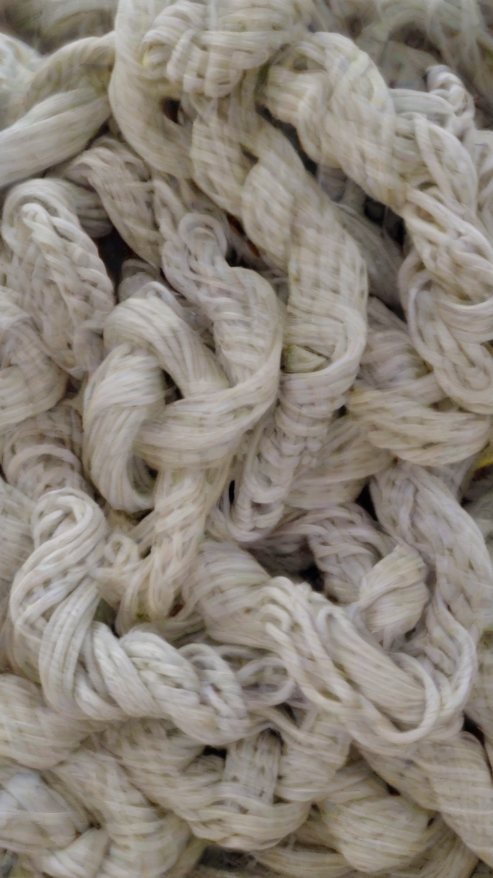 Love Knots, April 27, 2026