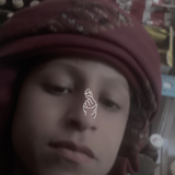 temp.png