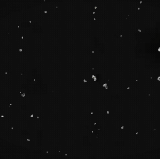 1000022787.gif