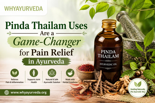 Why Pinda Thailam Uses Are a Game Changer for Pain Relief in Ayurveda.png