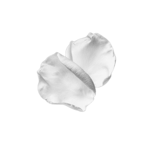 image 2026 04 27 173008508.png