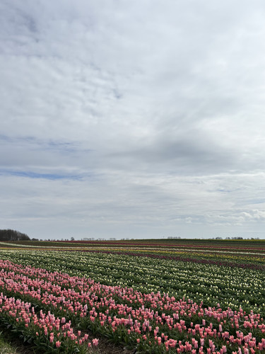 IMG 9547.jpg