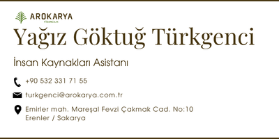 Mir Baha kopyası.png