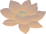 retouch 2026042717381847.png