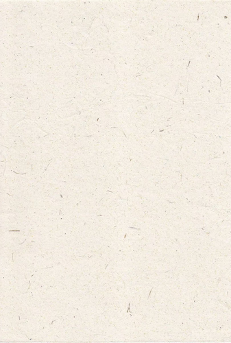 IMG 20260427 162527 edit 424807713236220.png