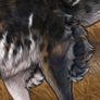 bum fluff.png