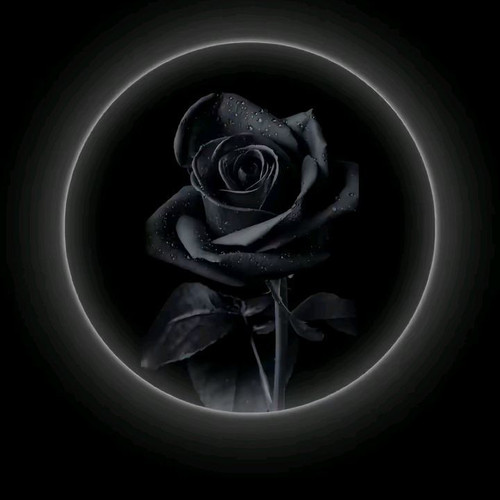 809fba901033.jpg
