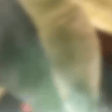 1000007090.gif