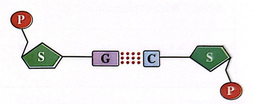 Q9.jpg