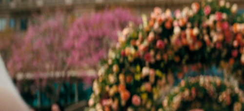 ss 02.png