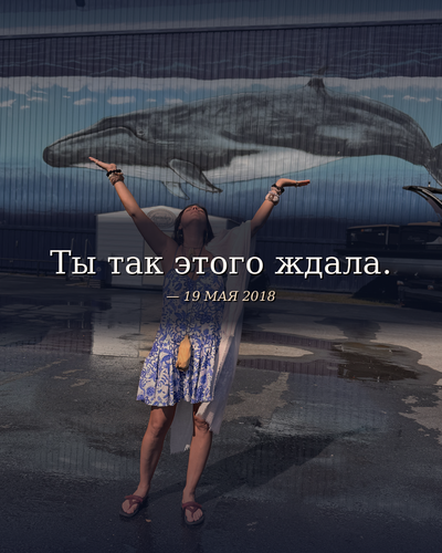 s08.png