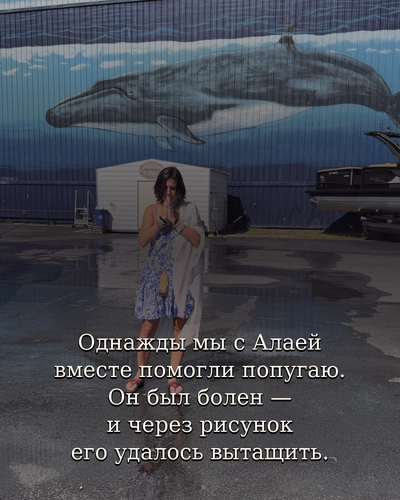 a2cf62c97d9b.png
