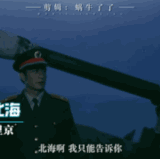 1000016000.gif