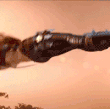 Kat.gif