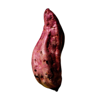 29.png