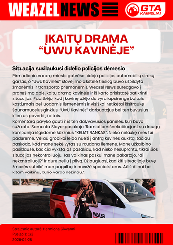 lenktynės (1).png