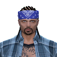 08bd716e458b.png