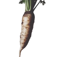 18.png