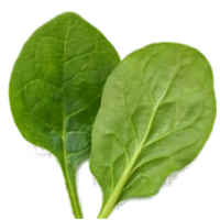 3.png