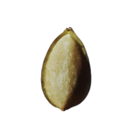 11.png