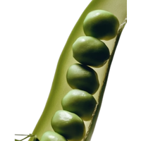 16.png